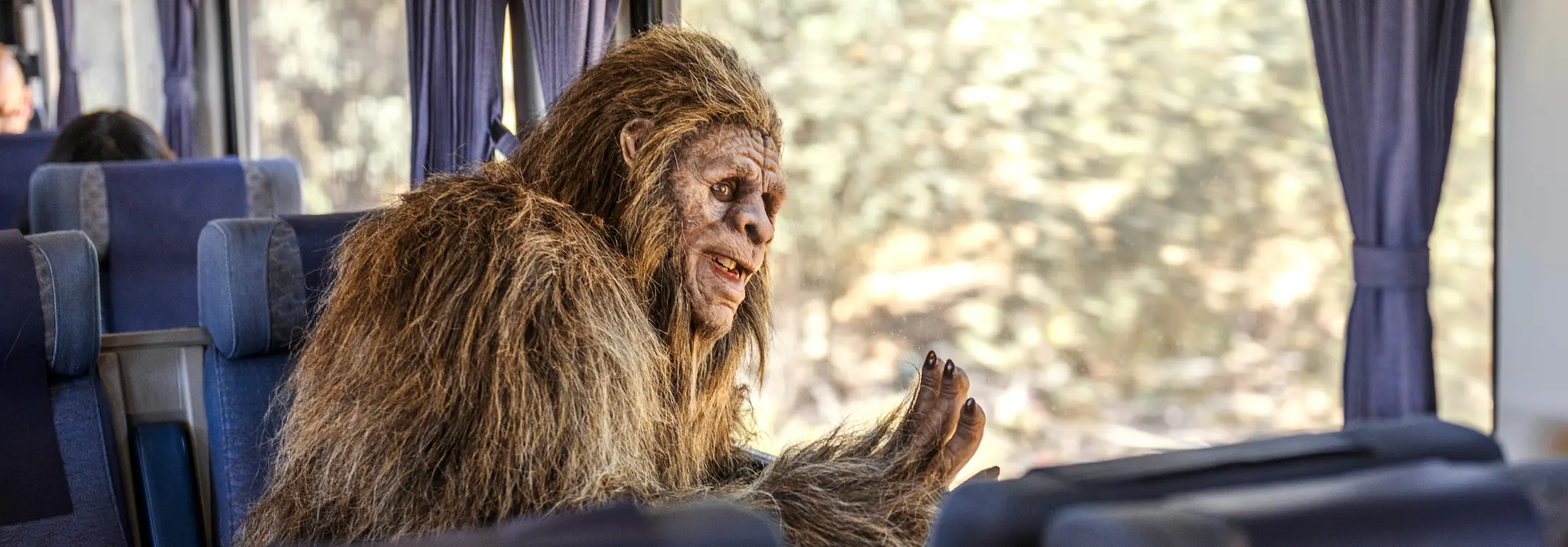 Bigfoot window banner